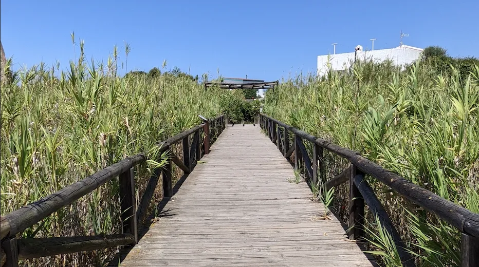 __wf_reserved_inherit